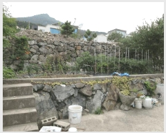  2025Ÿ��520 �泲 ������ ���� �� 447      �ܵ�����,�����ð��