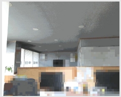  2025Ÿ��520 �泲 ������ ���� �� 447      �ܵ�����,�����ð��