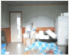  2025Ÿ��520 �泲 ������ ���� �� 447      �ܵ�����,�����ð��