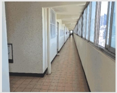  2025Ÿ��536  ����Ʈ���