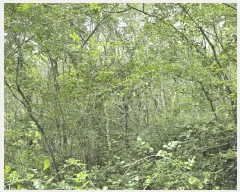  2025Ÿ��560 �泲 ������ ���ϸ� �и��� 1331      ����(�Ӿ�)���