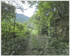  2025Ÿ��560 �泲 ������ ���ϸ� �и��� 1331      ����(�Ӿ�)���