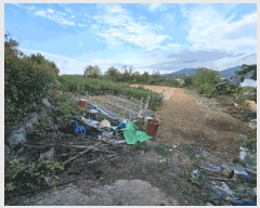  2025Ÿ��593 �泲 �뿵�� �볲�� ���޸� 231      ����(��1)���