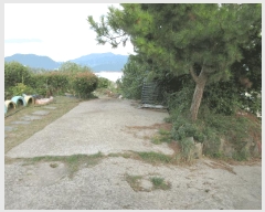  2025Ÿ��593 �泲 �뿵�� �볲�� ���޸� 231      ����(��1)���