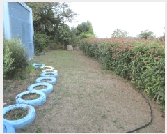  2025Ÿ��593 �泲 �뿵�� �볲�� ���޸� 231      ����(��1)���