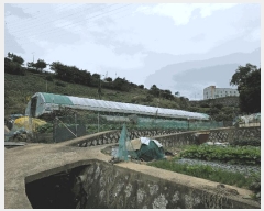  2025Ÿ��618 �泲 �뿵�� ������ 50       ����(��)���