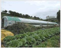  2025Ÿ��618 �泲 �뿵�� ������ 50       ����(��)���