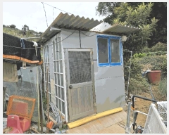  2025Ÿ��618 �泲 �뿵�� ������ 50       ����(��)���