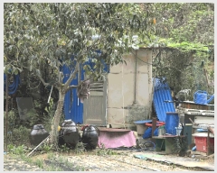  2025Ÿ��618 �泲 �뿵�� ������ 50       ����(��)���