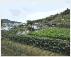  2025Ÿ��618 �泲 �뿵�� ������ 50       ����(��)���