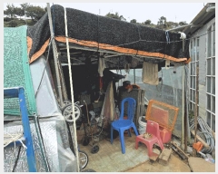  2025Ÿ��618 �泲 �뿵�� ������ 50       ����(��)���