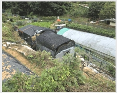  2025Ÿ��618 �泲 �뿵�� ������ 50       ����(��)���