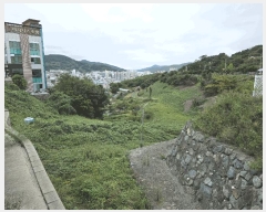  2025Ÿ��618 �泲 �뿵�� ������ 50       ����(��)���