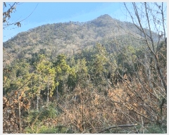  2025Ÿ20156 泲    34-5      (Ӿ)