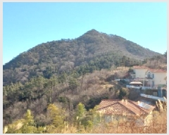  2025Ÿ20156 泲    34-5      (Ӿ)