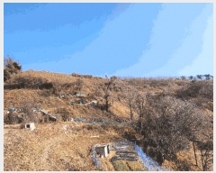  2025Ÿ20156 泲   742       ()