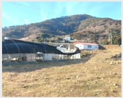  2025Ÿ��20231 �泲 �뿵�� ������ ���׸� 769-4      ����(��1)���