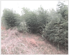  2025Ÿ21012 泲 뿵   277      (1)