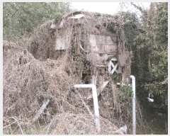  2025Ÿ21012 泲 뿵   277      (1)