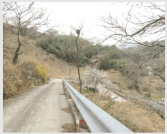  2025Ÿ21012 泲 뿵   277      (1)