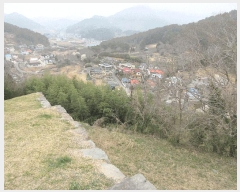  2025Ÿ21012 泲 뿵   277      (1)