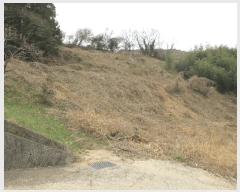  2025Ÿ21012 泲 뿵   277      (1)