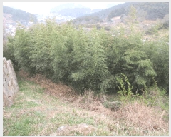  2025Ÿ21012 泲 뿵   277      (1)