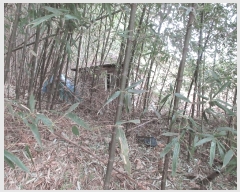  2025Ÿ21012 泲 뿵   277      (1)