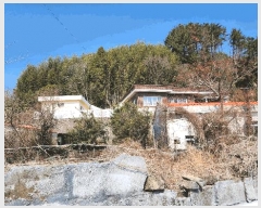  2025Ÿ��21099 �泲 ������ �д��� �Ÿ��� 226      ���ð��