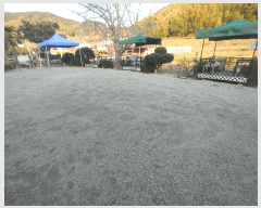  2025Ÿ21115 泲  û  469      (ķ)