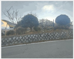  2025Ÿ21115 泲  û  469      (ķ)