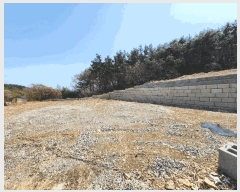  2025Ÿ21147 泲    312      (1)