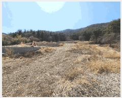  2025Ÿ21147 泲    312      (1)