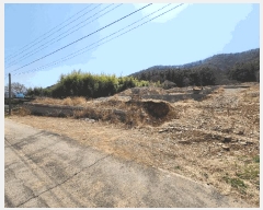  2025Ÿ21147 泲    312      (1)