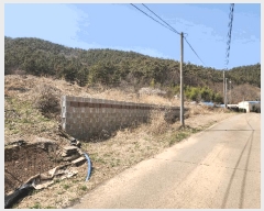  2025Ÿ21147 泲    312      (1)