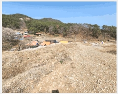  2025Ÿ21147 泲    312      (1)