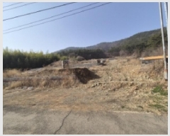  2025Ÿ21147 泲    312      (1)