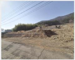  2025Ÿ21147 泲    312      (1)