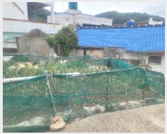  2025Ÿ21245 泲 뿵  322-2       ()