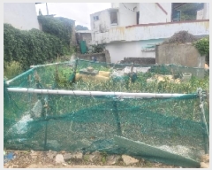  2025Ÿ21245 泲 뿵  322-2       ()