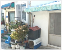  2025Ÿ21286 泲  û û 669-28      ()