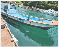  2025Ÿ21311 泲          ڰ