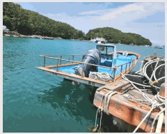  2025Ÿ21311 泲          ڰ