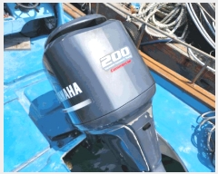  2025Ÿ21311 泲          ڰ