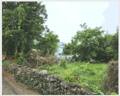  2025Ÿ��21319 �泲 ������ ������ ���긮 538-3      ����(��1)���