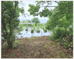  2025Ÿ��21319 �泲 ������ ������ ���긮 538-3      ����(��1)���