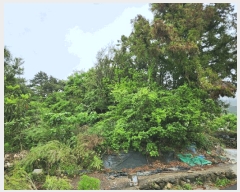  2025Ÿ��21319 �泲 ������ ������ ���긮 538-3      ����(��1)���