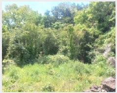  2025Ÿ��21319 �泲 ������ ������ ���긮 538-3      ����(��1)���