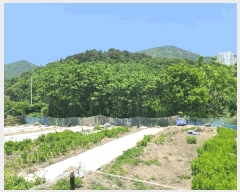  2025Ÿ21335 泲  Ͽ ҵ 338-7      ()