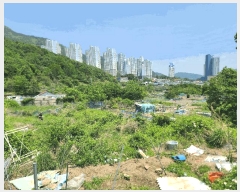  2025Ÿ21335 泲  Ͽ ҵ 338-7      ()